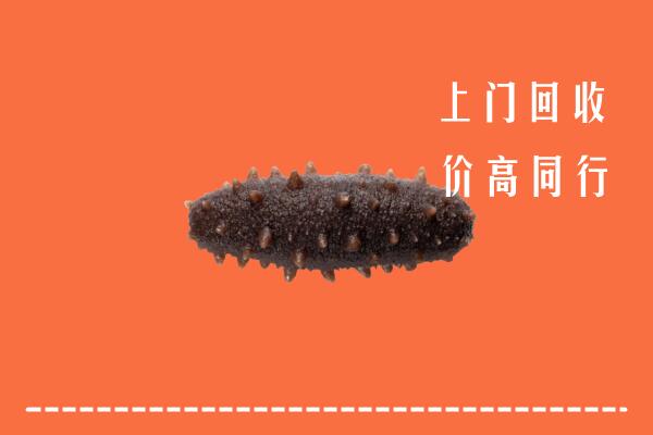 果洛州达日县回收海参