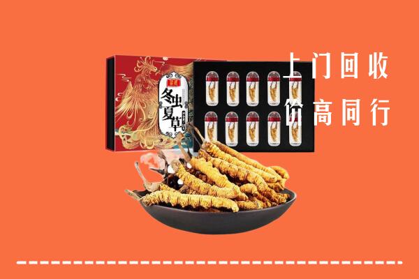 果洛州达日县回收虫草